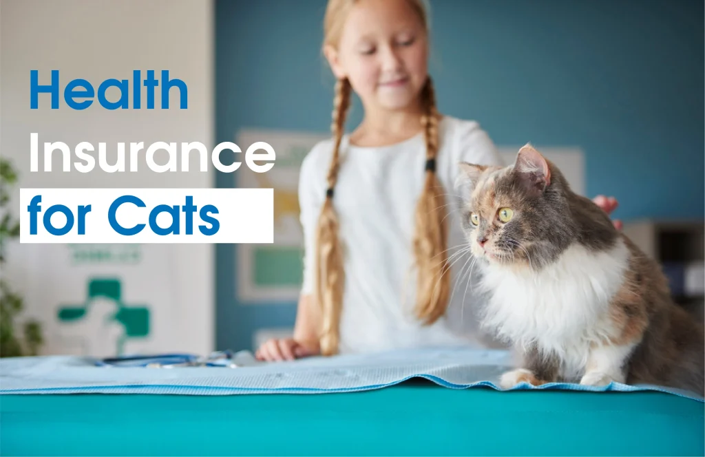 Compare cat insurance plans across the US, UK, Canada & Australia—buy smarter coverage for accidents, illness, and wellness. Get quotes, check ROI, and protect your cat.