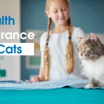 Compare cat insurance plans across the US, UK, Canada & Australia—buy smarter coverage for accidents, illness, and wellness. Get quotes, check ROI, and protect your cat.